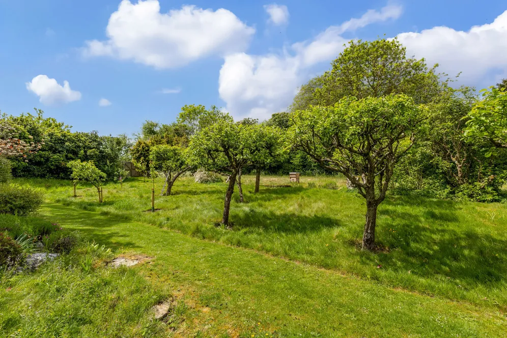 Springle Lane, Hertford, SG13 photo 19