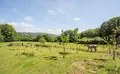 Property image gallery