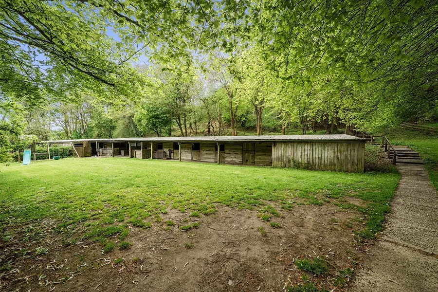 Property Image 39