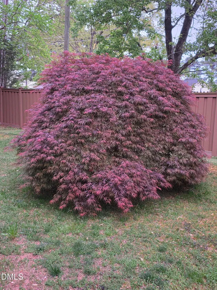5000 Cedarwood Dr, Raleigh, NC 27609