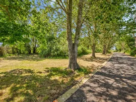 North East Riverbank, Potter Heigham, Great Yarmouth thumb 3