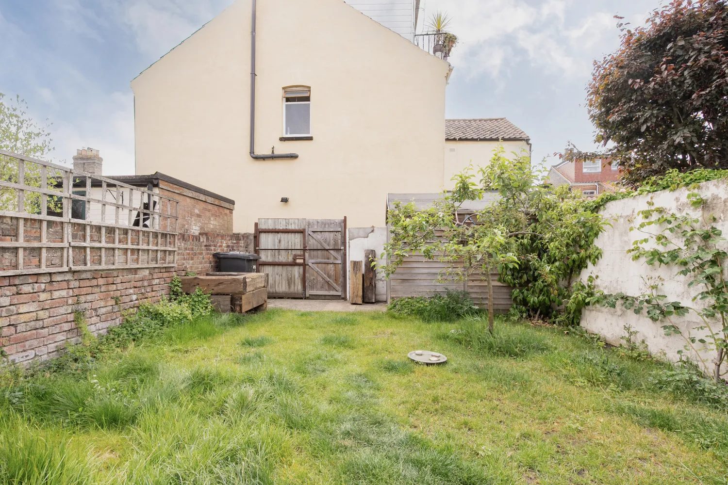Alexandra Road, Norwich, NR2 photo 14