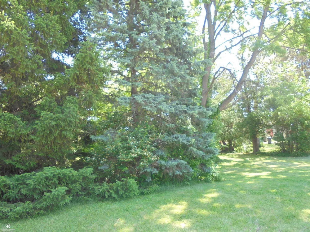 35080 Hengesbach Dr, Clinton Township, MI 48035