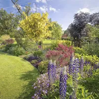 Property 20