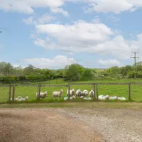 Property 10