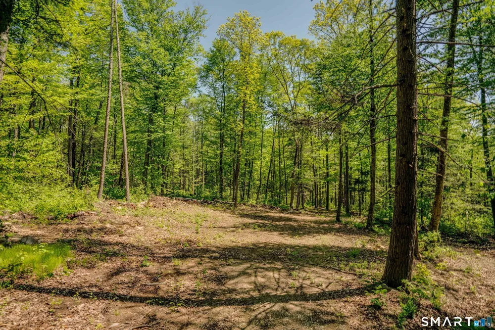 47 Stagecoach Run Dr, Cobalt, CT 06414