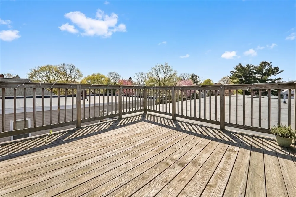 9 Bellflower St, Boston, MA 02125