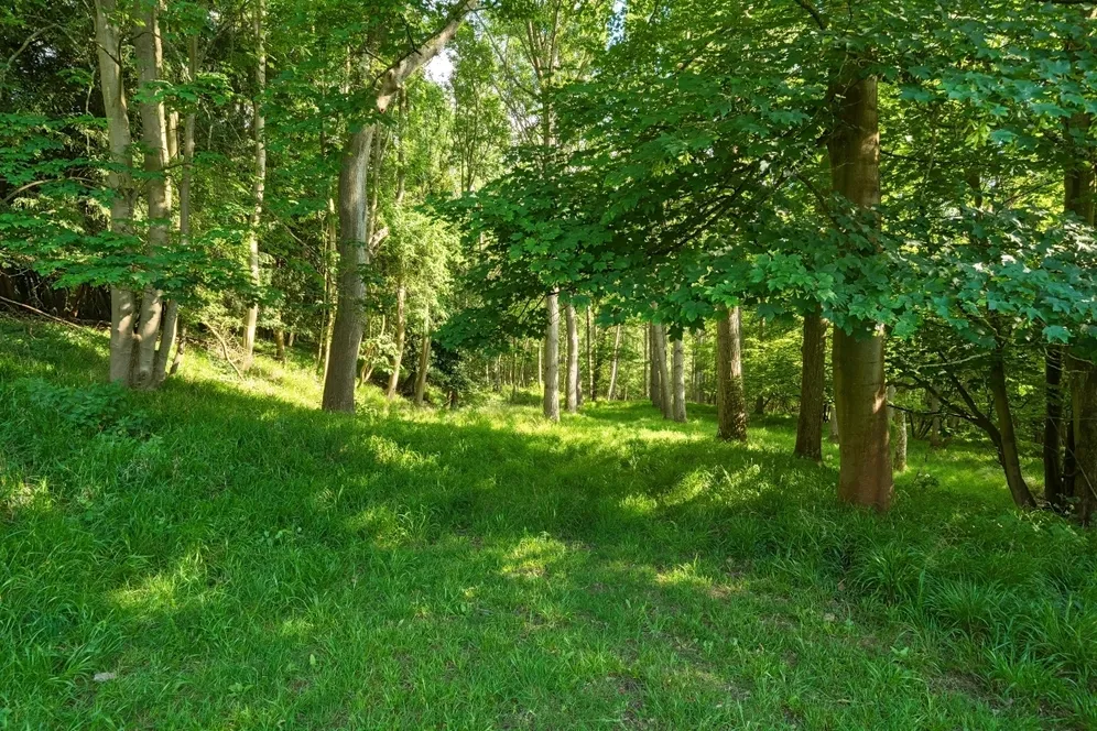 Moreton Paddox, Warwick, CV35 photo 9