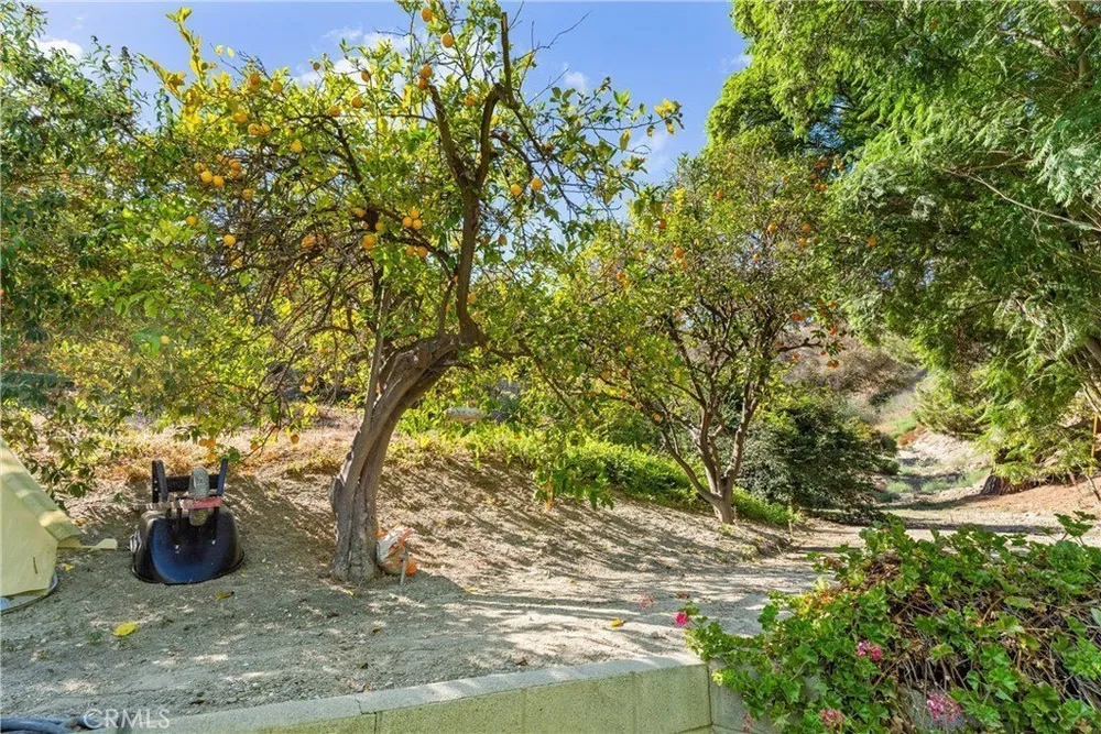 171 Canada Sombre Rd, La Habra Heights, CA 90631