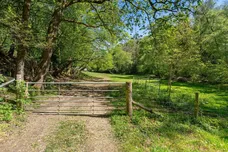 Tilford Road, Farnham, Surrey, GU9 photo 29