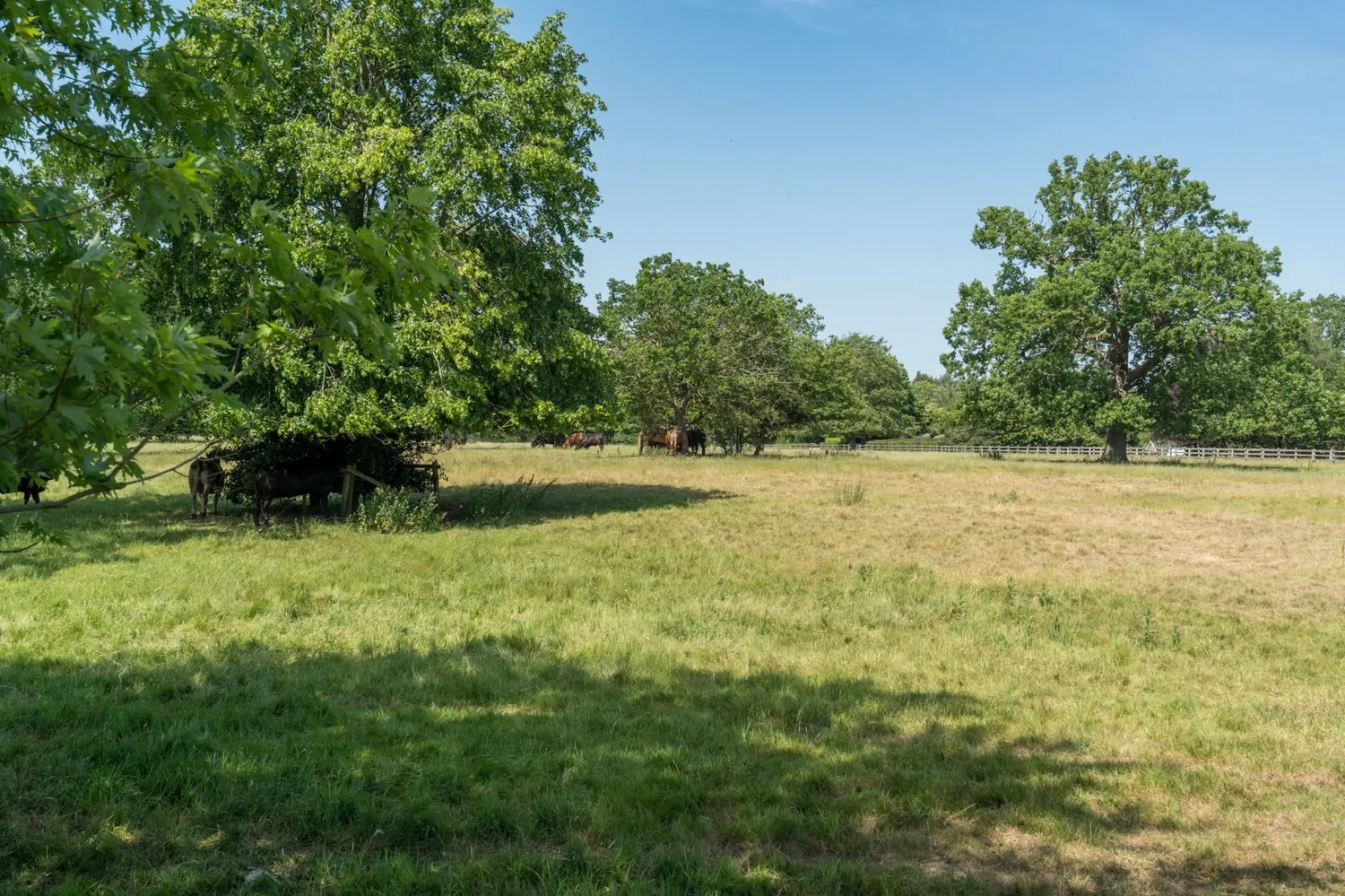 Lambs Corner, Birchwood Road, CO7 photo 42
