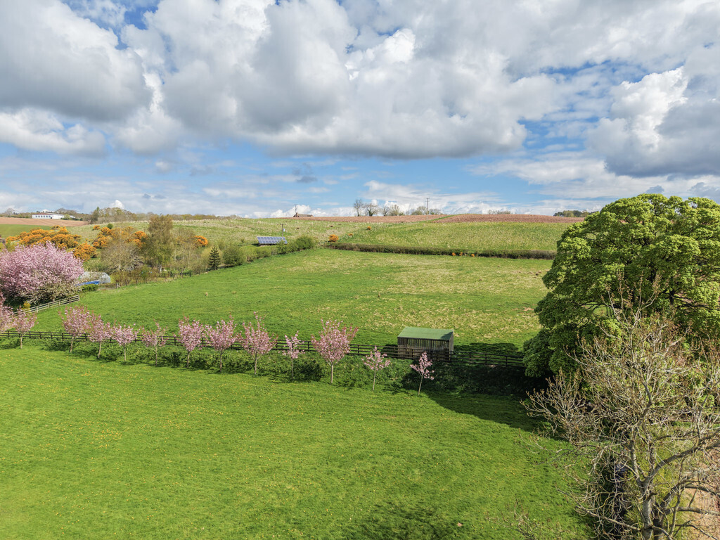 The Sheepwash, Nr. Cumwhitton Image 30