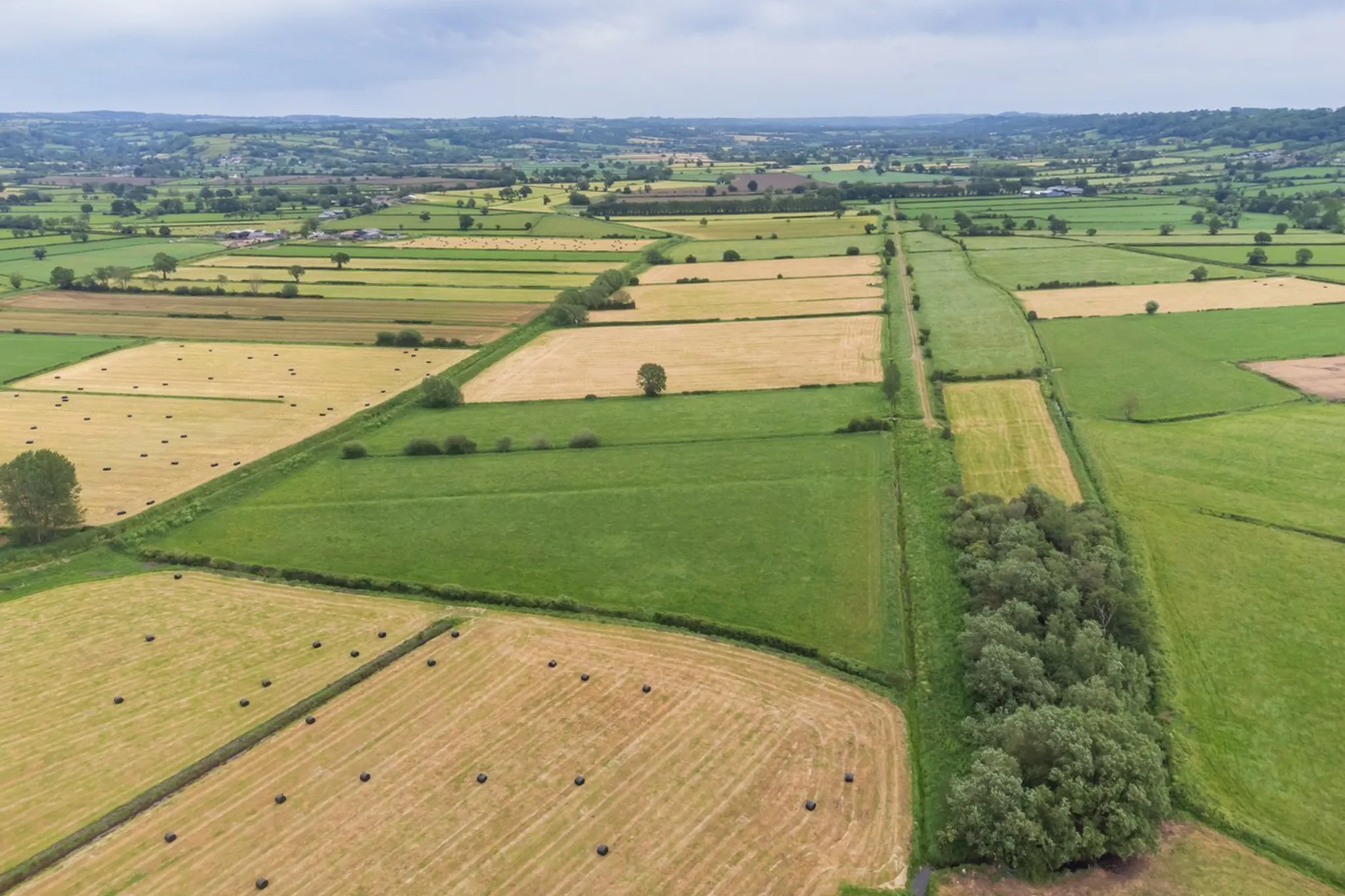 Laurel Street, Hearty Moor, West Pennard, BA6