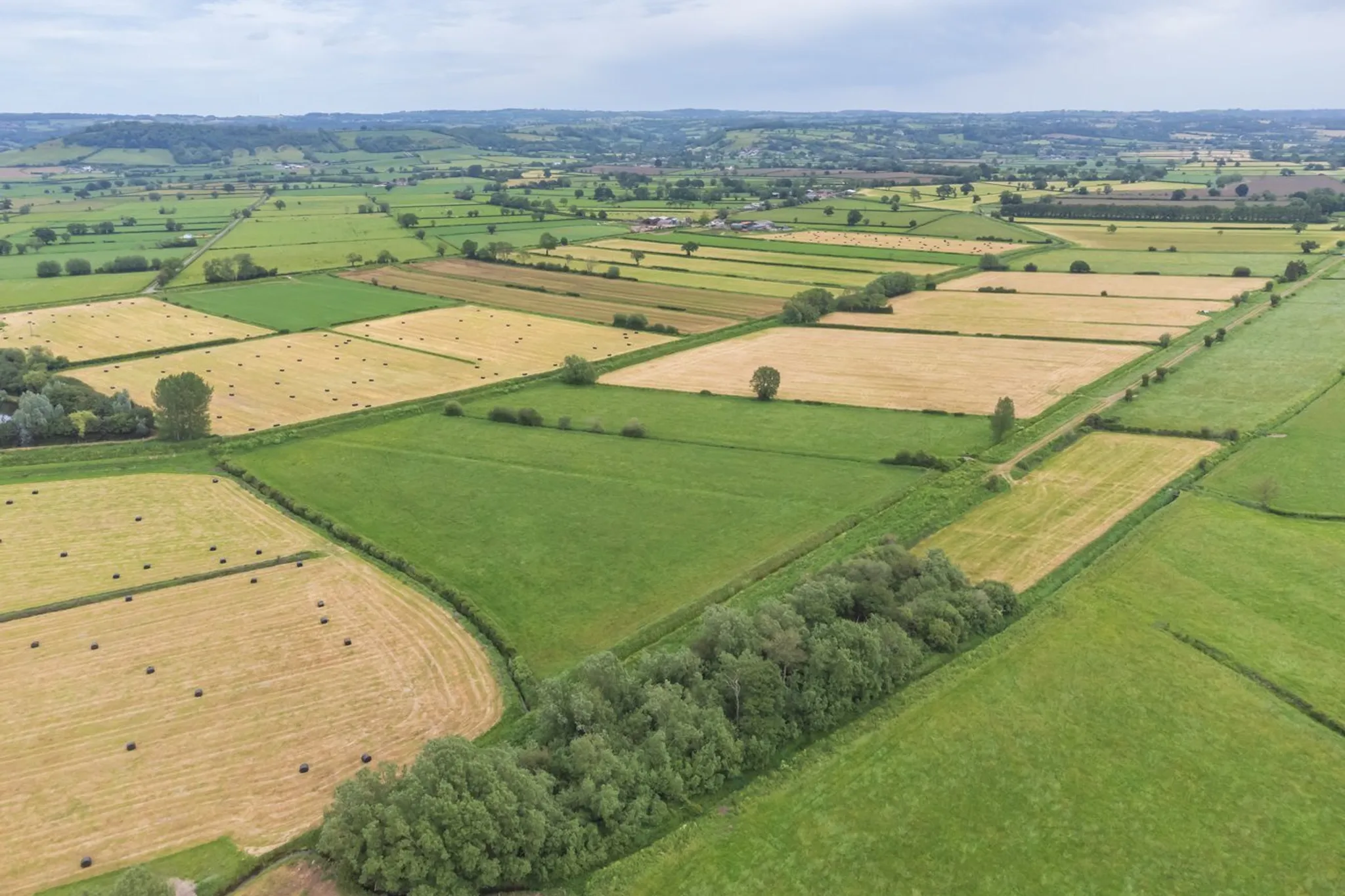 Laurel Street, Hearty Moor, West Pennard, BA6