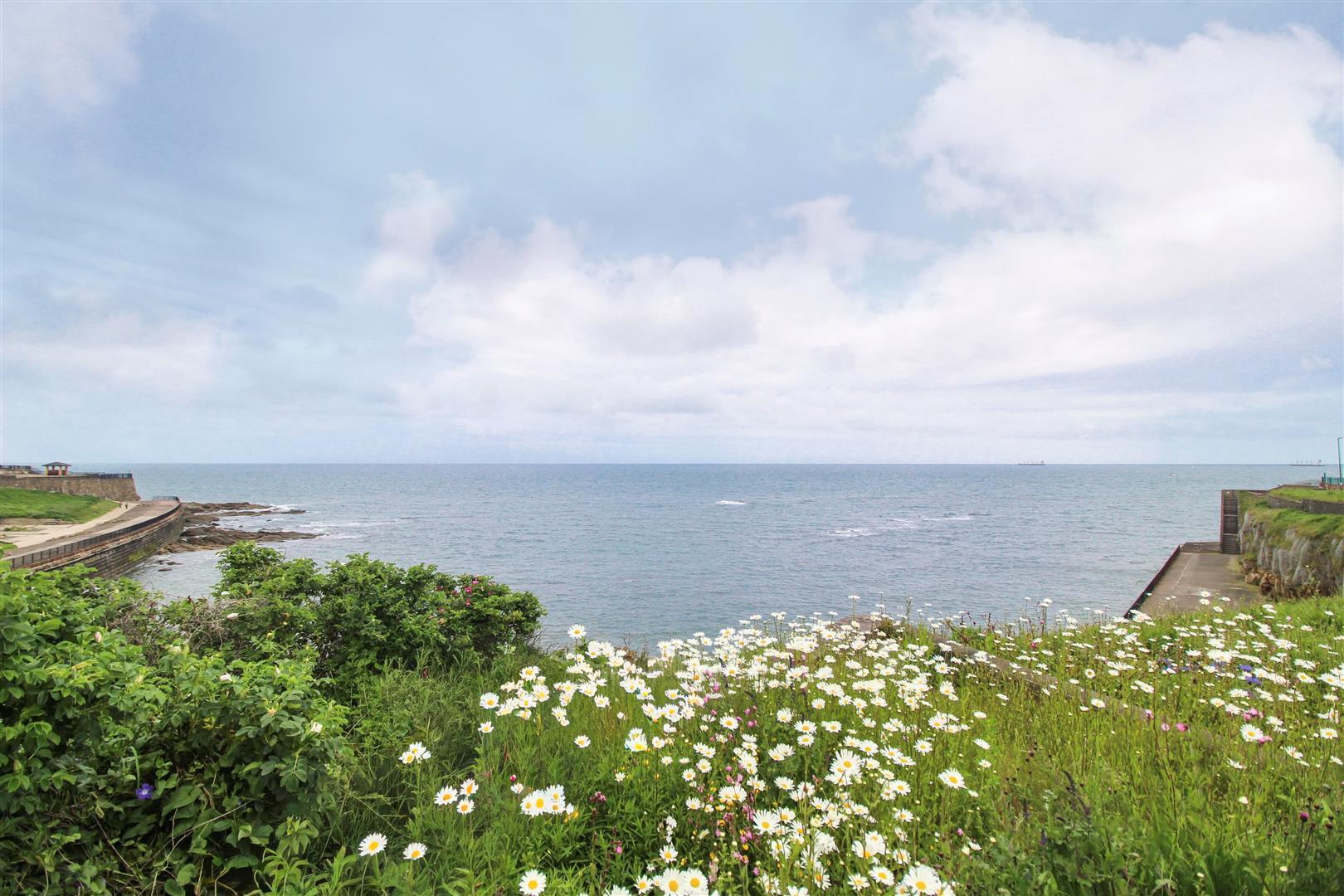Eskdale Terrace, Cullercoats, North Shields Image 2