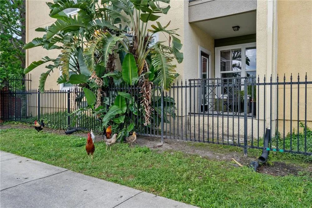 1810 E Palm Ave, Tampa, FL 33605