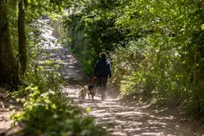 Ringwood Road, Alderholt, Fordingbridge