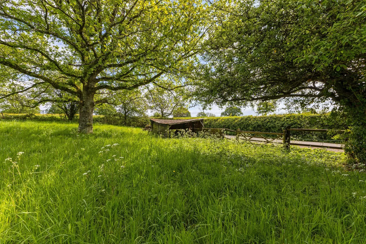 Snailing Lane, Greatham, GU33 photo 4