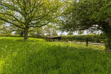 Snailing Lane, Greatham, GU33 photo 4