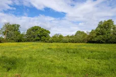 Snailing Lane, Greatham, GU33 photo 25