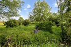 Snailing Lane, Greatham, GU33 photo 27