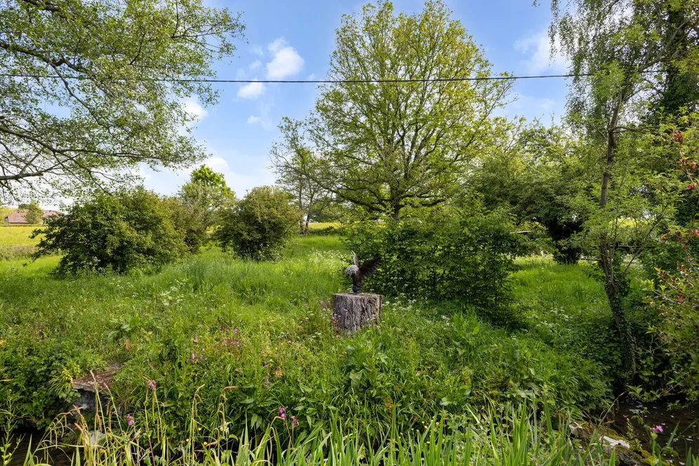 Snailing Lane, Greatham, GU33 photo 27