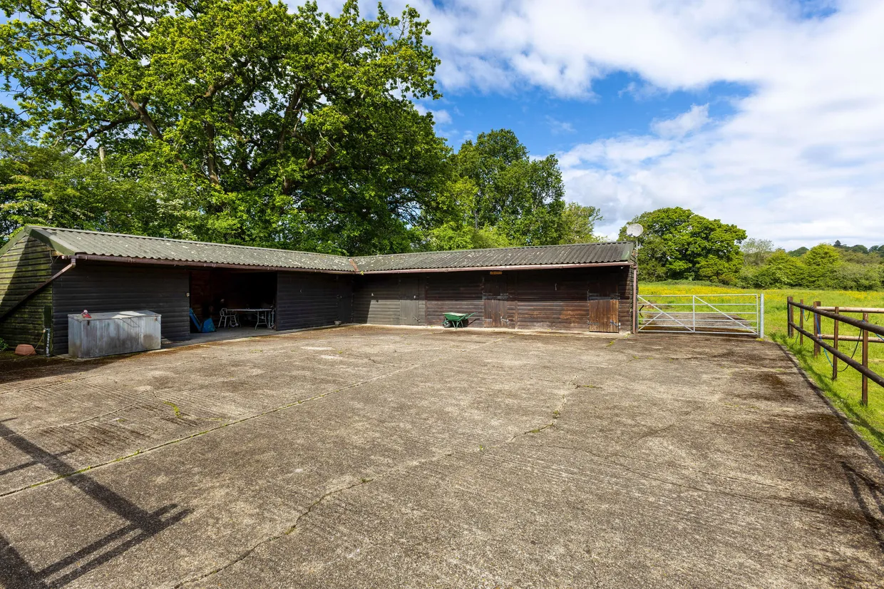 Snailing Lane, Greatham, GU33 photo 30
