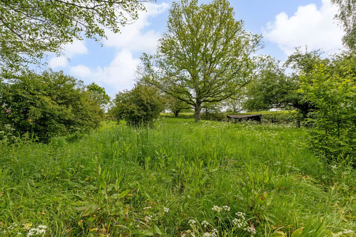 Snailing Lane, Greatham, GU33 photo 31