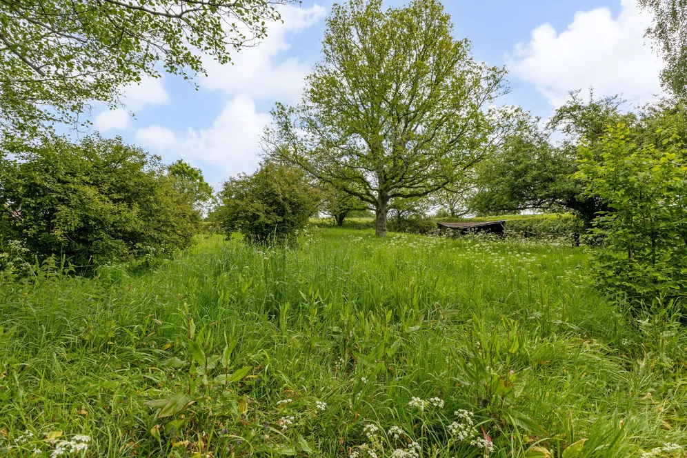 Snailing Lane, Greatham, GU33 photo 31
