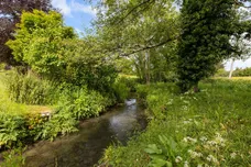 Snailing Lane, Greatham, GU33 photo 32