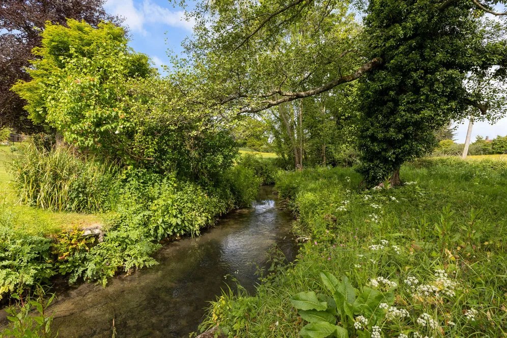 Snailing Lane, Greatham, GU33 photo 32