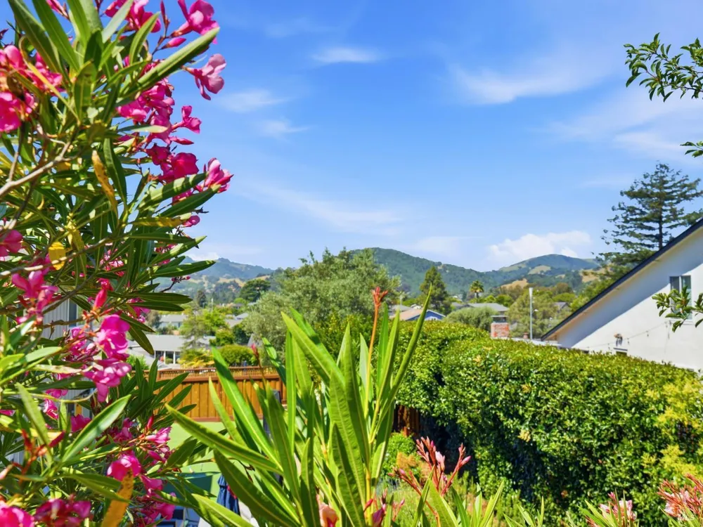 33 Manzano Ct, Novato, CA 94945