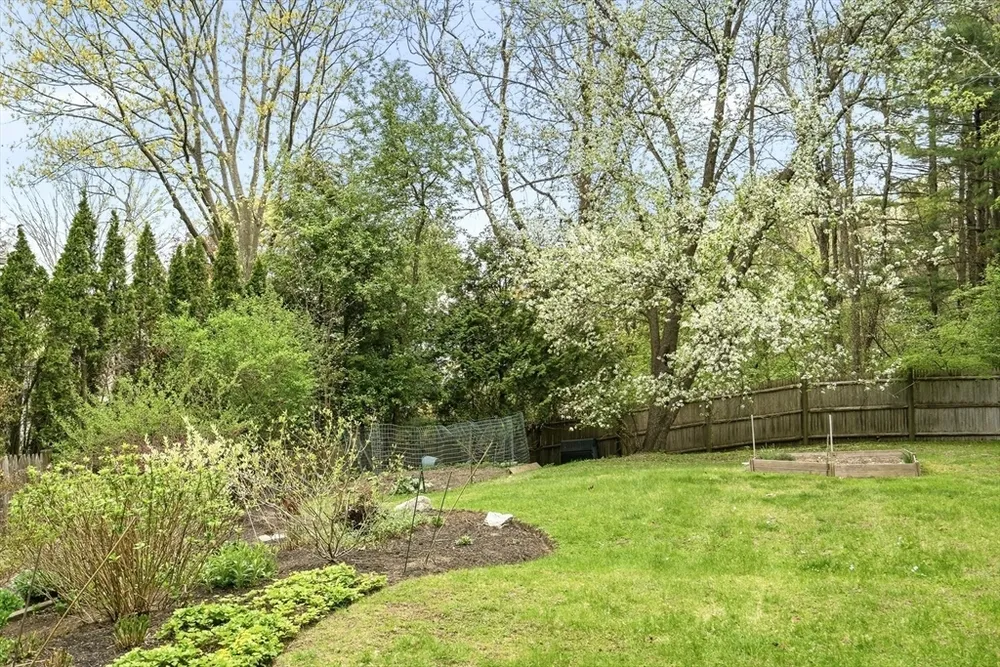 1333 Great Plain Ave, Needham, MA 02492