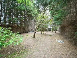 Glenfield Close, Outwell, WISBECH thumb 3
