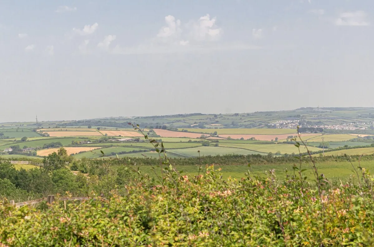 Cumber Close, Malborough