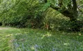 Property image gallery