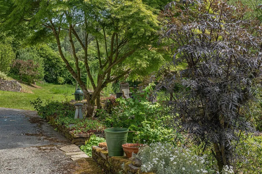 Property Image 49