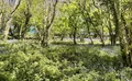 Property image gallery