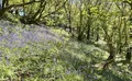 Property image gallery