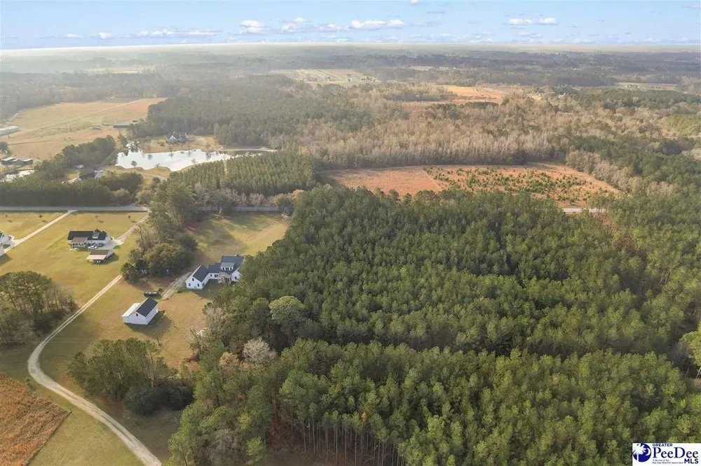 1185 McLaughlin Rd, Effingham, SC 29541-3111