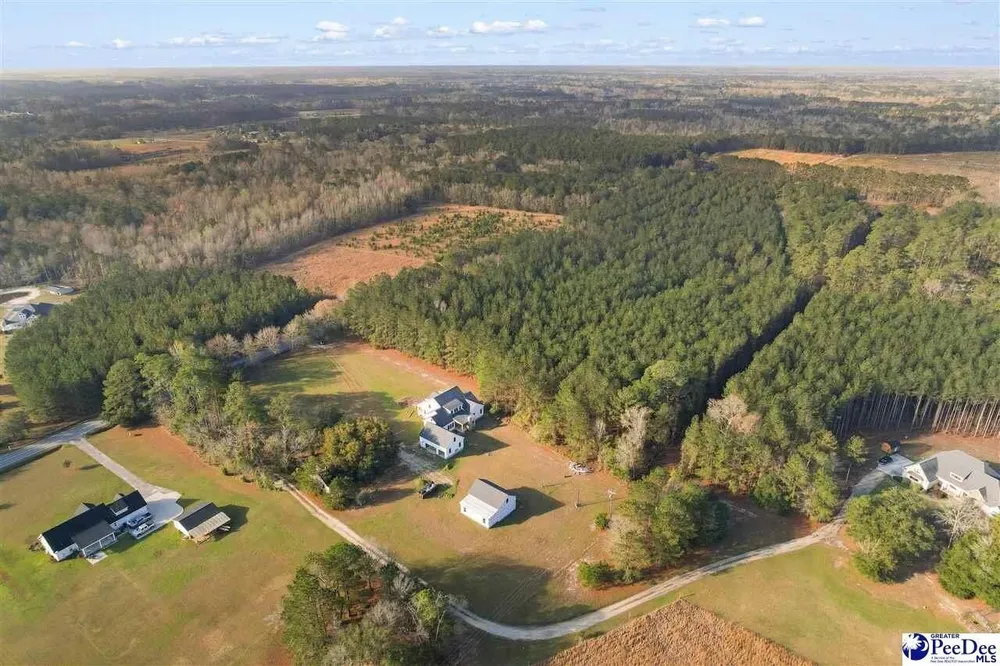 1185 McLaughlin Rd, Effingham, SC 29541-3111