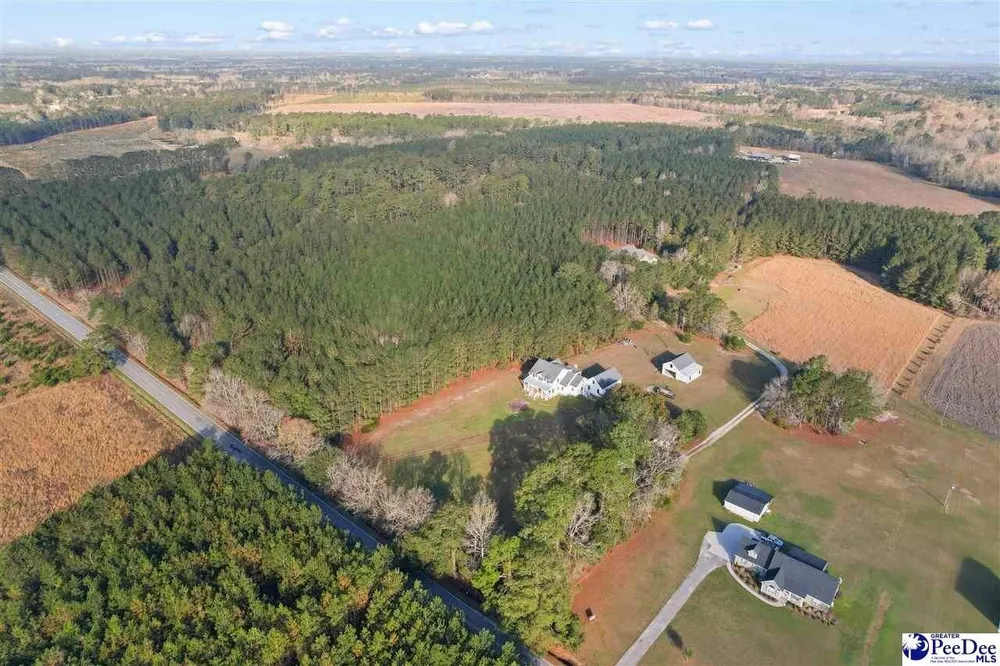 1185 McLaughlin Rd, Effingham, SC 29541-3111