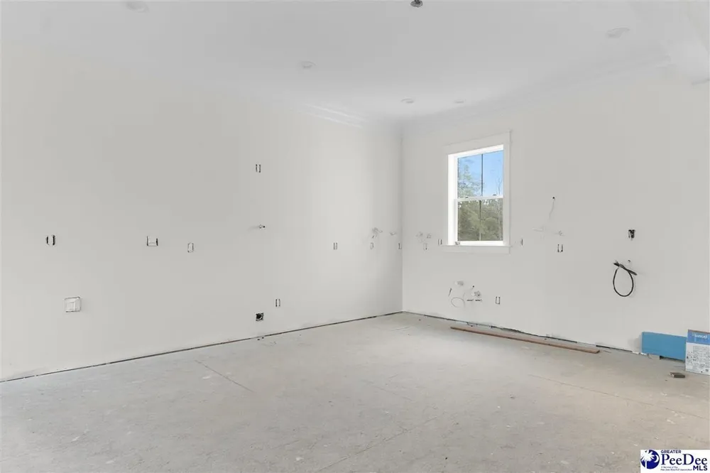1185 McLaughlin Rd, Effingham, SC 29541-3111