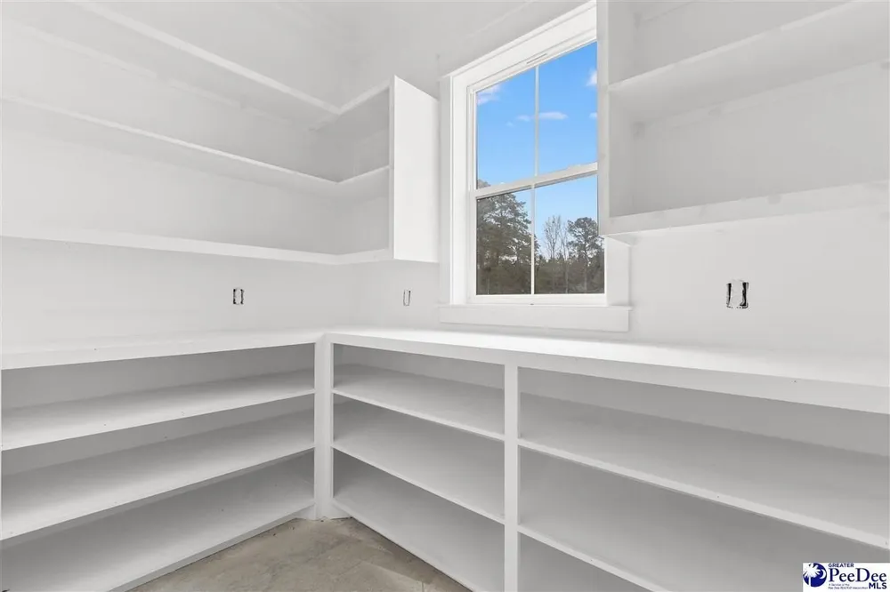 1185 McLaughlin Rd, Effingham, SC 29541-3111