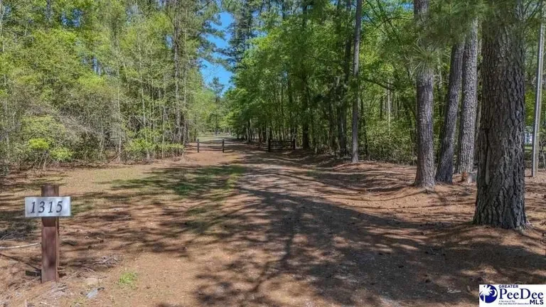 1315 Hill Harrell Rd, Effingham, SC 29541