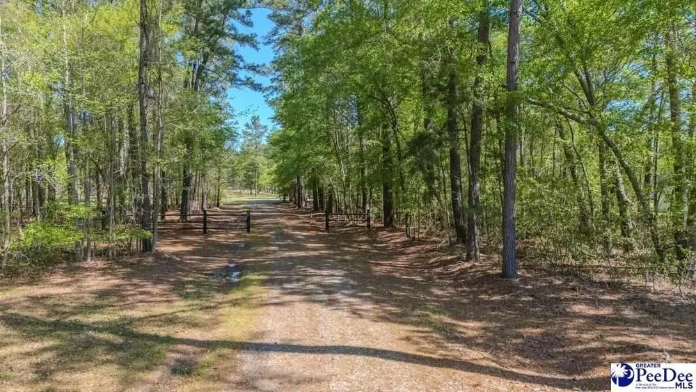 1315 Hill Harrell Rd, Effingham, SC 29541