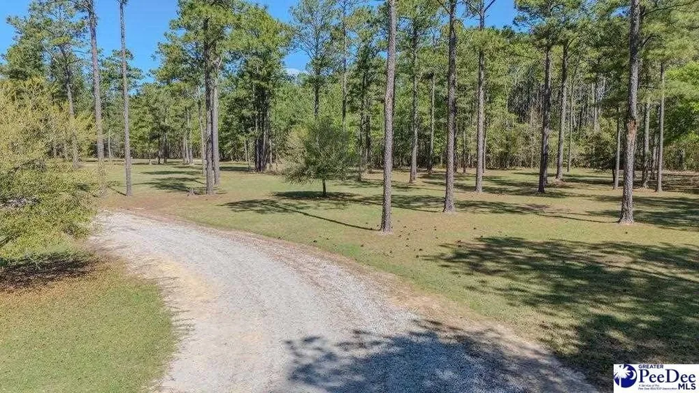 1315 Hill Harrell Rd, Effingham, SC 29541