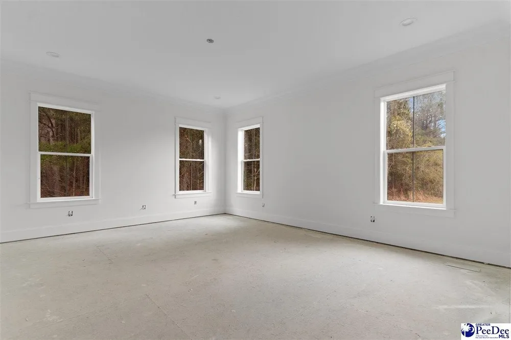 1185 McLaughlin Rd, Effingham, SC 29541-3111