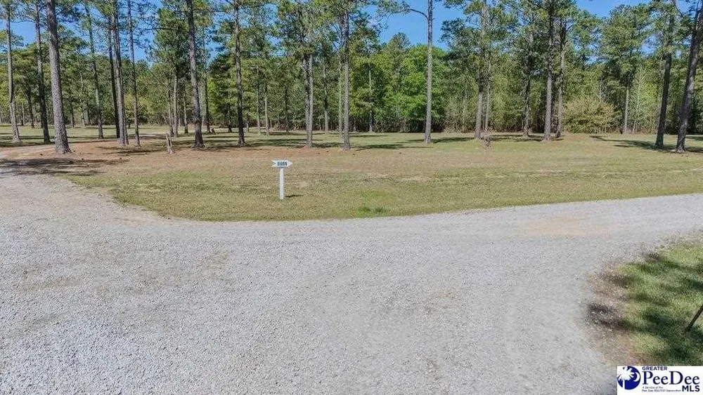 1315 Hill Harrell Rd, Effingham, SC 29541