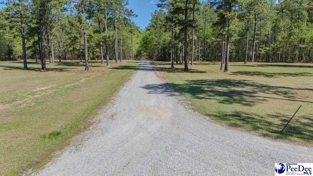 1315 Hill Harrell Rd, Effingham, SC 29541